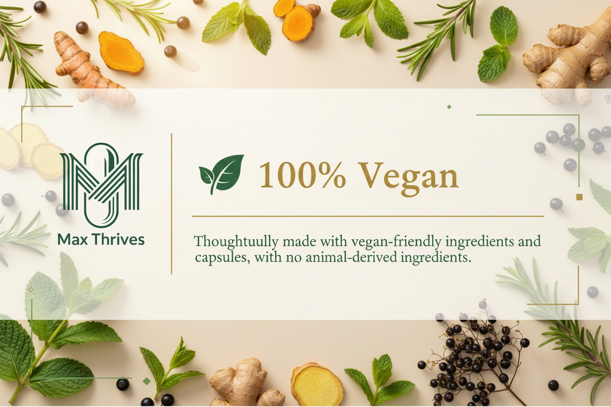 100% Vegan Banner